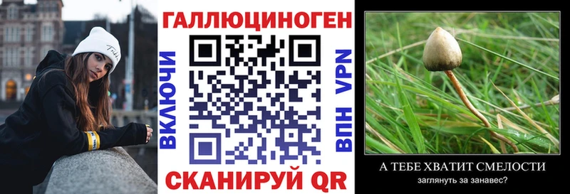 наркота Духовщина Псилоцибиновые грибы Cubensis